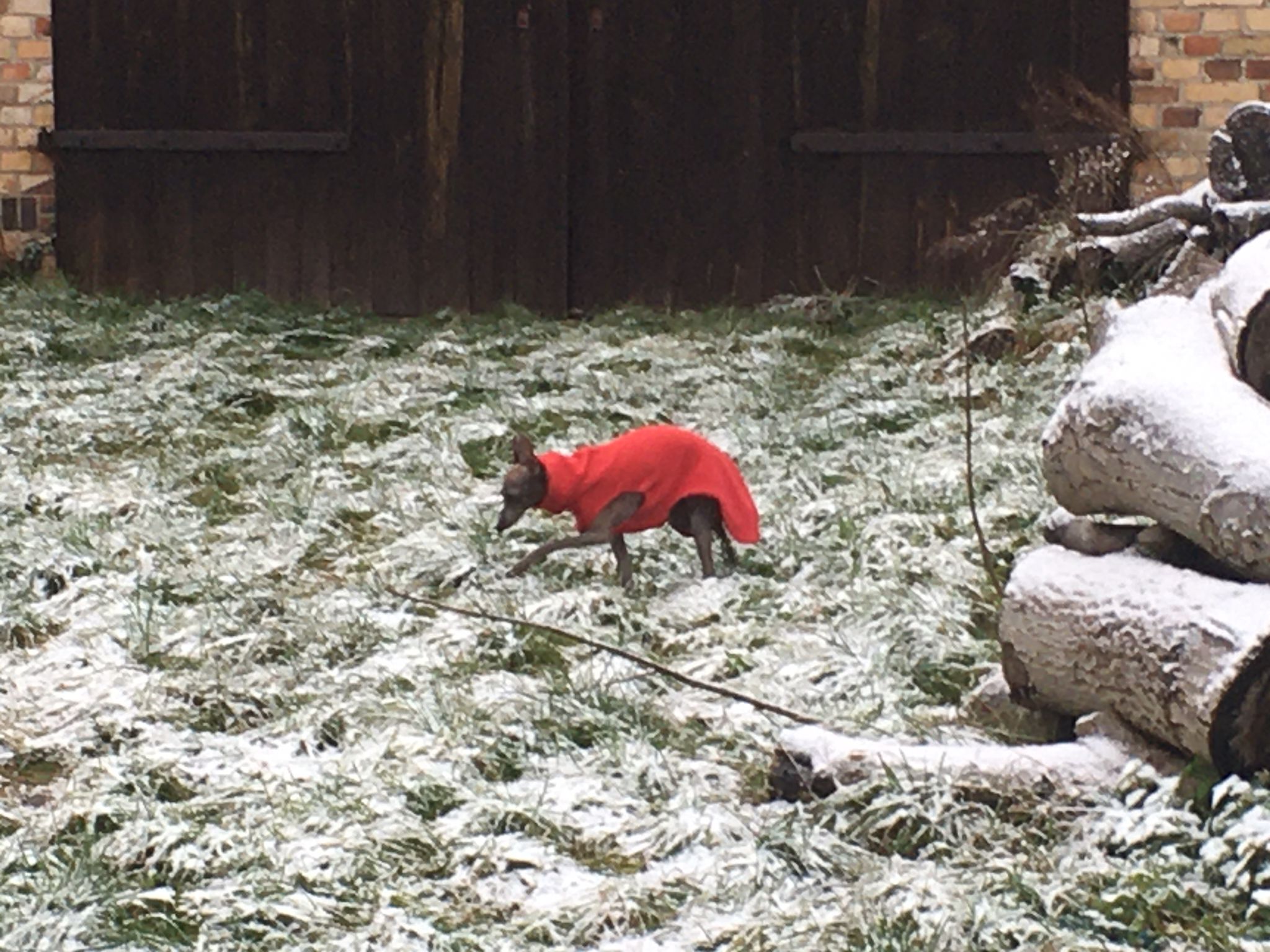 Nikolaus gesichtet...